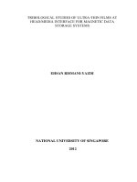 Tribological studies of ultra thin films at head media interface for magnetic data storage systems 