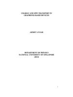 Charge and spin transport in graphene based devices 