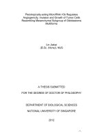 Pleiotropically acting MicroRNA 10b regulates angiogenicity, invasion and growth of tumor cells resembling mesenchymal subgroup of glioblastoma multiforme 