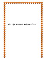 bài tập kinh tế môi trường