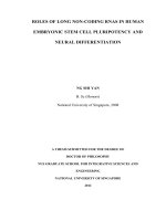Roles of long non coding RNAs in human embryonic stem cell pluripotency and neural differentiation 1 