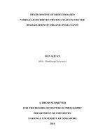 Development of bismuth based visible light driven photocatalysts for the degradation of organic pollutants 