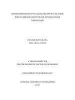 Characterisation of toll like receptor 8 as a new innate immune receptor for mycobacterium tuberculosis 
