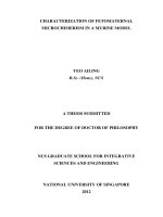 Characterization of fetomaternal microchimerism in a murine model 1 