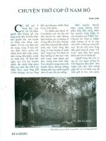 Chuyện thờ cọp ở nam bộ 