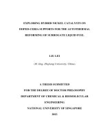 Exploring hybrid ni catalysts on doped ceria supports for the autothermal reforming of surrogate liquid fuel 
