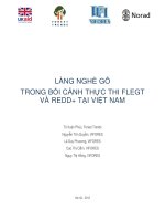 Làng nghề gỗ trong bối cảnh thực thi FLEGT và REDD+ tại việt nam 