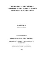 SELF ASSEMBLY AND DRUG DELIVERY IN AMPHIPHILIC PEPTIDES MICROSCOPIC INSIGHTS FROM COARSE GRAINED SIMULATIONS 