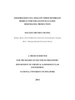 Immobilized cell hollow fiber membrane bioreactor for lignocellulosic bioethanol production 