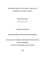 Identification of functional targets in epithelial ovarian carcinoma 