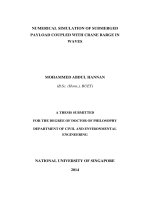 Numerical simulation of submerged payload coupled with crane barge in waves 
