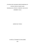 INVESTIGATING THE HOST IMMUNE RESPONSE TO MYCOBACTERIUM TUBERCULOSIS THE ROLES OF ANNEXIN a1 PROTEIN AND CLEC9A+ DENDRITIC CELLS 
