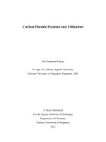 Carbon dioxide fixation and utilization 