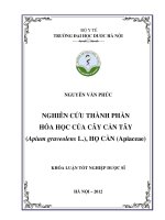 Nghiên cứu thành phần hóa học của cây cần tây (apium graveolens l ) họ cần ( apiaceae)