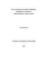 Self assembly peptide amphiphile biomimetic materials for biomedical applications 