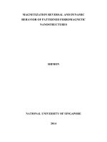 Magnetization reversal and dynamic behaviour of patterned ferromagnetic nanostructures 