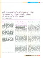 Mối quan hệ giữa rủi ro đạo đức trong hoạt động ngân hàng và tự do hóa tài chính 