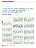 Tác động của tý giá thực tới cán cân thương mại   kinh nghiệm quốc tế và bài học kinh ngiệm cho việt nam