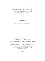 Essays in decision making under uncertainty and involving time 