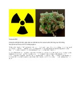 một số phương pháp đảm bảo an toàn sinh học sử dụng vi khuẩn