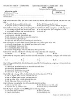 Vật lý 9   481 (HK II 2010   2011)