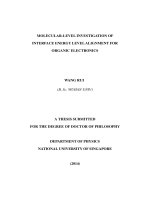 Molecular level investigation of interface energy level alignment for organic electronics 