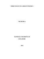 Three essays in labor economics 