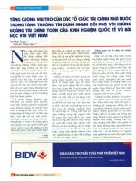 Tăng cường vai trò các tổ chức tài chính nhà nước trong tăng trưởng tín dụng nhằm đối phó với khủng hoảng tài chính toàn cầu   kinh nghiệm quốc tế và bài học với việt nam 