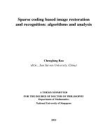 Sparse coding based image restoration and recognition algorithms and analysis 