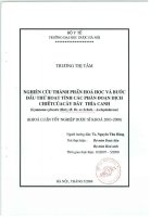 Nghiên cứu thành phần hóa học và bước đầu thử hoạt tính các phân đoạn dịch chiết của cây dây thìa canh ( gymnema sylvestre (retz ) r br ex schult   asclepiadaceae )