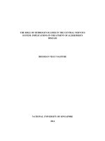 The role of hydrogen sulfide in the central nervous system implications in the treatment of alzheimers disease 