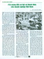 FTA mang đến cơ hội và thách thức cho doanh nghiệp việt nam 