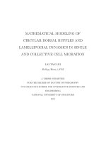 Mathematical modeling of circular dorsal ruffles and lamellipodial dynamics in single and collective cell migration 