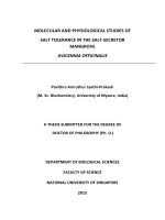 MOLECULAR AND PHYSIOLOGICAL STUDIES OF SALT TOLERANCE IN THE SALT SECRETOR MANGROVE AVICENNIA OFFICINALIS 