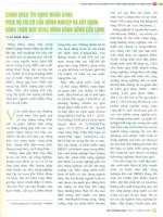 Chính sách tín dụng ngân hàng phục vụ tái cơ cấu nông nghiệp và xây dựng nông thôn mới vùng đồng bằng sông cửu long 