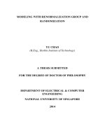 Modeling with renormalization group and randomization 