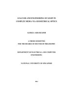 Analysis and engineering of light in complex media via geometrical optics 