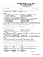 Dề thi HKII  Hóa 11 NC