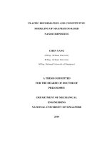 Plastic deformation and constitutive modeling of magnesium based nanocomposites 