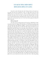 Xây dựng nông thôn mới ở đồng bằng sông cửu long