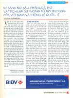 So sánh nợ xấu, phân loại nợ và trích lập dự phòng rủi ro tín dụng của việt nam và thông lệ quốc tế 