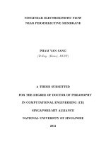 Nonlinear electrokinetic flow near permselective membrane 