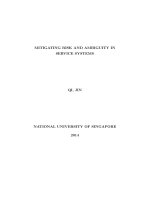 Mitigating risk and ambiguity in service systems 