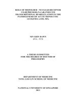Role of misfolded   nuclear receptor co repressor (n cor) induced transcriptional de regulation in the pathogenesis of acute monocytic leukemia (AML m5 