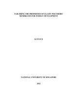Tailoring the properties of glassy polymeric membranes for energy development 