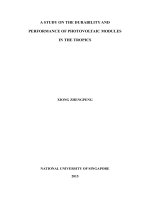 A STUDY ON THE DURABILITY AND PERFORMANCE OF PHOTOVOLTAIC MODULES IN THE TROPICS 