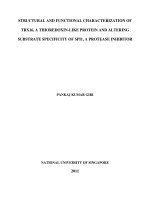 Structural and functional characterization of TRX16, a thioredoxinlike protein and altering substrate specificity of a serine protease inhibitor 