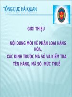 Giới thiệu nội dung mới về phân loại hàng hóa, xác định trước mã số và kiểm tra tên hàng, mã số, mức thuế 