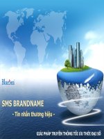 Giải pháp marketing bằng SMS brandname 