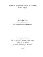 Design of efficient and elastic storage in the cloud 